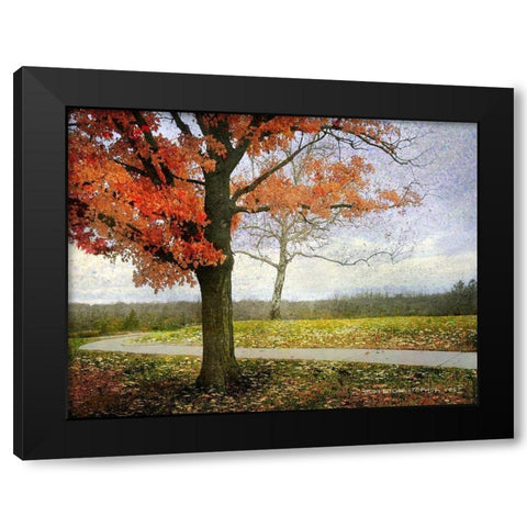 Overland Park Trees Black Modern Wood Framed Art Print with Double Matting by Vest, Christopher