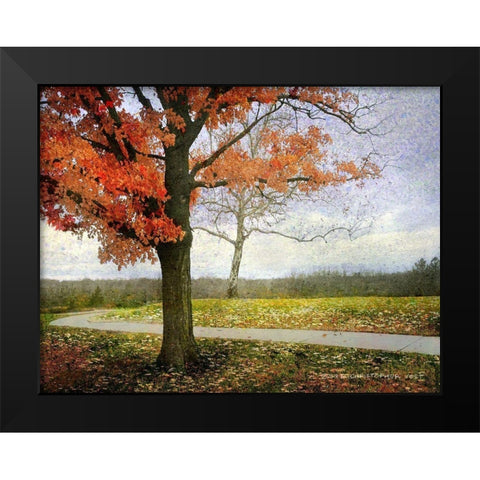 Overland Park Trees Black Modern Wood Framed Art Print by Vest, Christopher