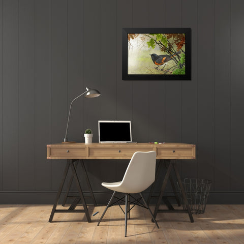 American Redstart Black Modern Wood Framed Art Print by Vest, Christopher