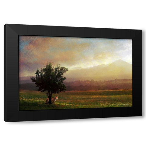 Tuscan Dawn Fox Black Modern Wood Framed Art Print with Double Matting by Vest, Christopher