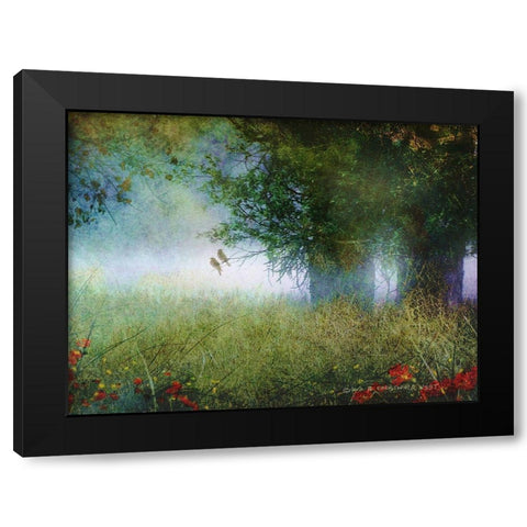 Cottonwood Fog Black Modern Wood Framed Art Print by Vest, Christopher