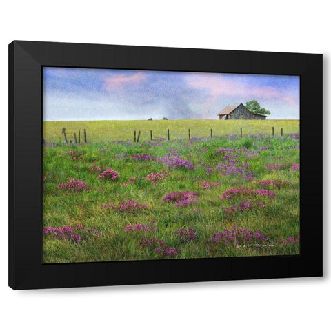 Barn Locoweed Black Modern Wood Framed Art Print by Vest, Christopher