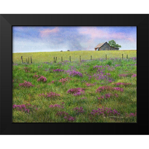 Barn Locoweed Black Modern Wood Framed Art Print by Vest, Christopher