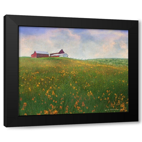 Meadow Farm Super Bloom Black Modern Wood Framed Art Print with Double Matting by Vest, Christopher