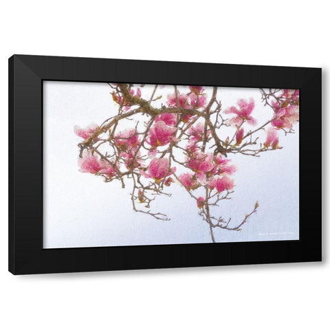 Painted Magnolia Black Modern Wood Framed Art Print by Vest, Christopher