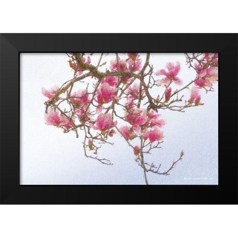 Painted Magnolia Black Modern Wood Framed Art Print by Vest, Christopher
