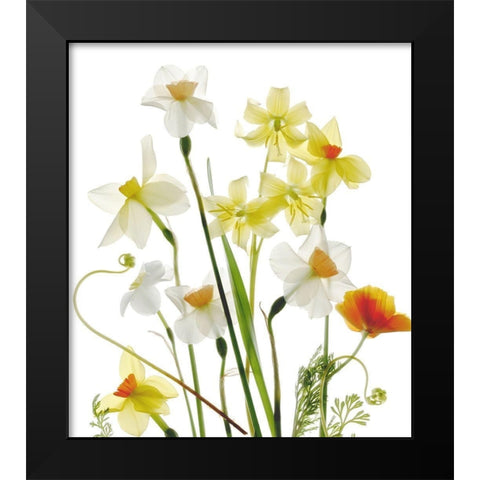 Spring Garden Black Modern Wood Framed Art Print by Stalus, Judy
