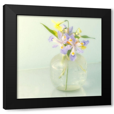 Soft Flower Black Modern Wood Framed Art Print with Double Matting by Stalus, Judy