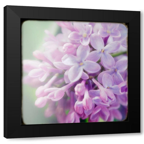 Innocence Black Modern Wood Framed Art Print by Stalus, Judy