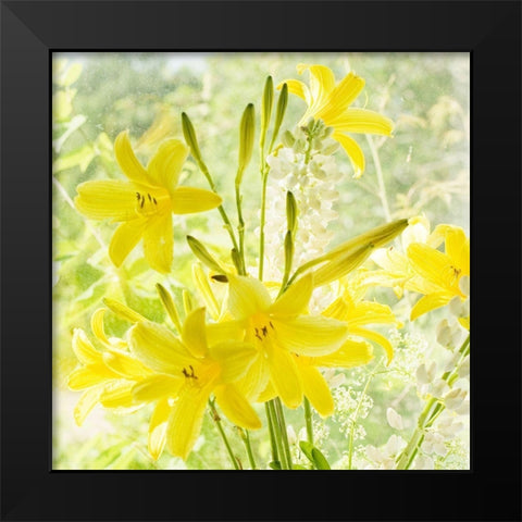 Lemon Lilies  Black Modern Wood Framed Art Print by Stalus, Judy