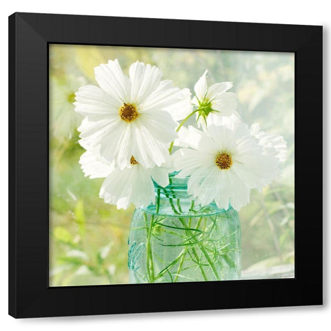 Jar of White Cosmo Black Modern Wood Framed Art Print by Stalus, Judy