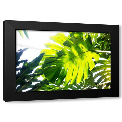 Tropics Black Modern Wood Framed Art Print by Stalus, Judy
