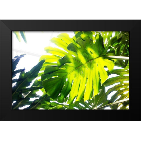Tropics Black Modern Wood Framed Art Print by Stalus, Judy