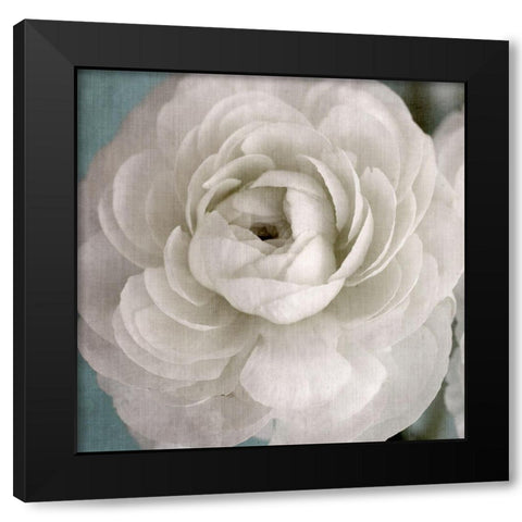 White Beauty Black Modern Wood Framed Art Print by Stalus, Judy