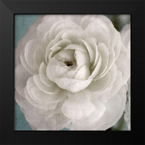 White Beauty Black Modern Wood Framed Art Print by Stalus, Judy