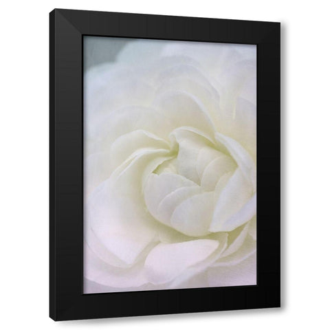 Whisper Black Modern Wood Framed Art Print with Double Matting by Stalus, Judy