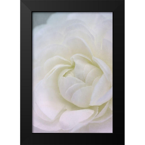 Whisper Black Modern Wood Framed Art Print by Stalus, Judy