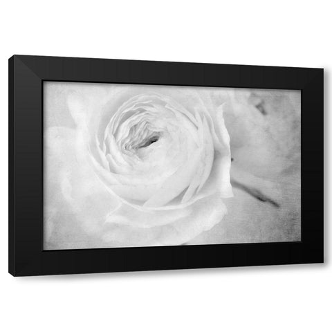 White Mystery Black Modern Wood Framed Art Print with Double Matting by Stalus, Judy