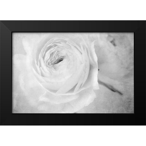 White Mystery Black Modern Wood Framed Art Print by Stalus, Judy