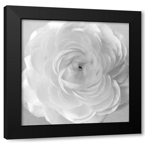 Snow Black Modern Wood Framed Art Print with Double Matting by Stalus, Judy