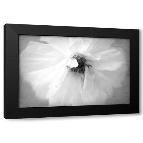 White Poppy Black Modern Wood Framed Art Print by Stalus, Judy