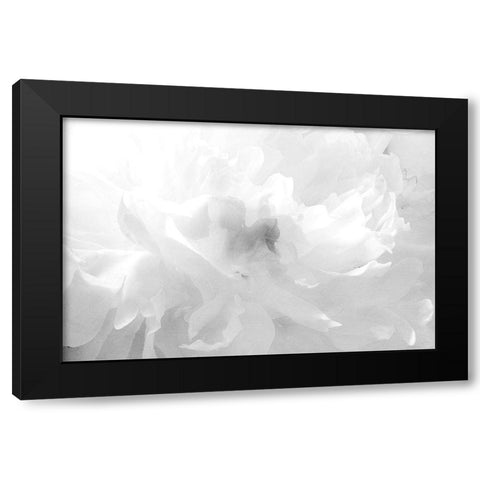 Clouds Black Modern Wood Framed Art Print by Stalus, Judy