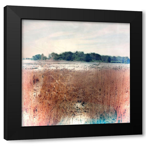 Reeds Black Modern Wood Framed Art Print with Double Matting by Stalus, Judy