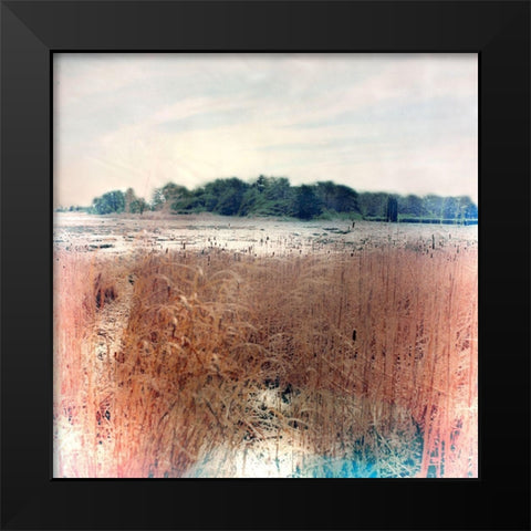 Reeds Black Modern Wood Framed Art Print by Stalus, Judy