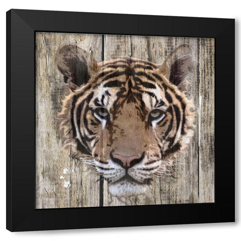 Wildheads Tiger Black Modern Wood Framed Art Print with Double Matting by Smith, Karen