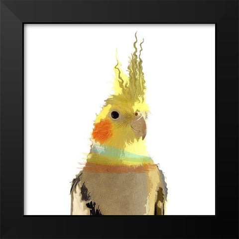 Cockatiel Black Modern Wood Framed Art Print by Smith, Karen