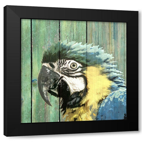 Bird Heads III Black Modern Wood Framed Art Print with Double Matting by Smith, Karen