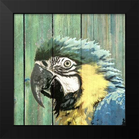 Bird Heads III Black Modern Wood Framed Art Print by Smith, Karen