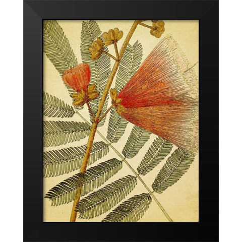 Botanical Grunge I Black Modern Wood Framed Art Print by Hunziker, Steve