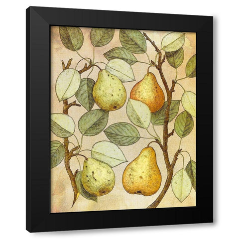 Botanical Grunge II Black Modern Wood Framed Art Print with Double Matting by Hunziker, Steve