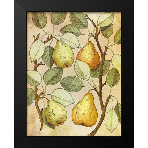 Botanical Grunge II Black Modern Wood Framed Art Print by Hunziker, Steve