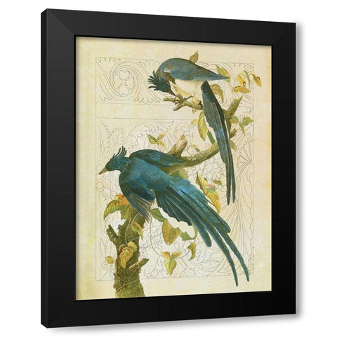 Classic Avion II Black Modern Wood Framed Art Print with Double Matting by Hunziker, Steve