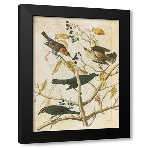 Classic Avion III Black Modern Wood Framed Art Print by Hunziker, Steve