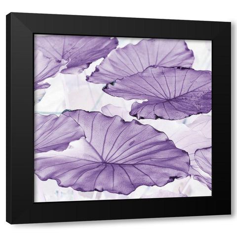 Botanicals Black Modern Wood Framed Art Print by Surma, Agata