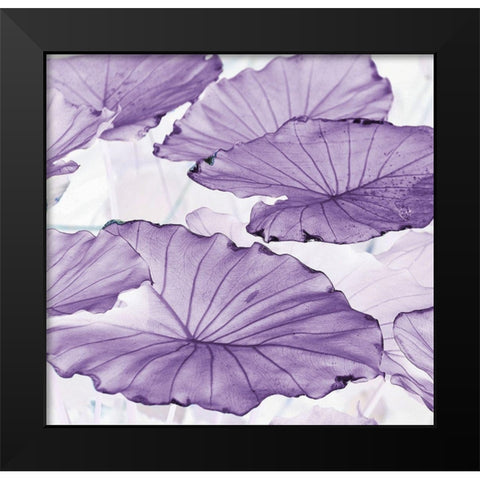 Botanicals Black Modern Wood Framed Art Print by Surma, Agata