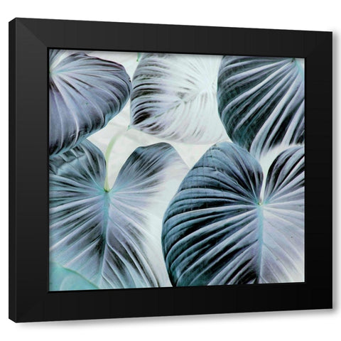 Botanic Blues Black Modern Wood Framed Art Print by Surma, Agata