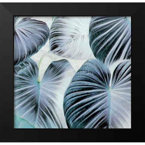 Botanic Blues Black Modern Wood Framed Art Print by Surma, Agata