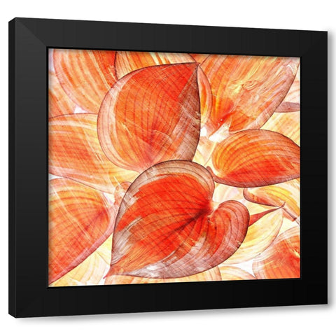 Botanic Oranges Black Modern Wood Framed Art Print with Double Matting by Surma, Agata