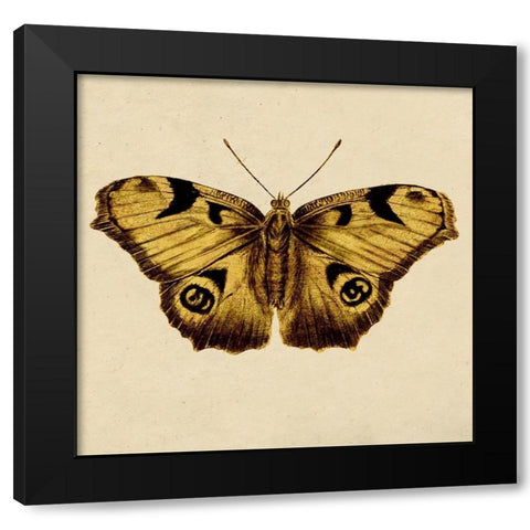 Golden Mariposa Black Modern Wood Framed Art Print by Surma, Agata