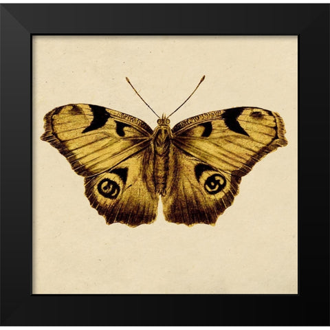 Golden Mariposa Black Modern Wood Framed Art Print by Surma, Agata