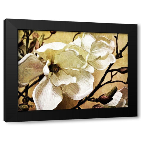 Majestic Magnolia Black Modern Wood Framed Art Print by Aldridge, Ashley