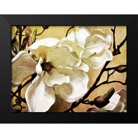 Majestic Magnolia Black Modern Wood Framed Art Print by Aldridge, Ashley