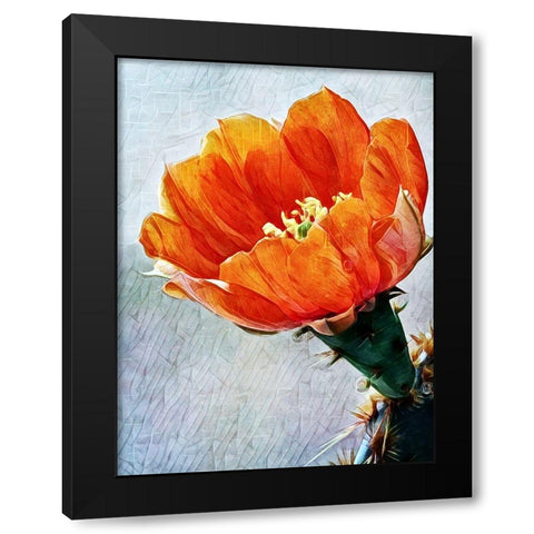 Blood Orange Beauty I Black Modern Wood Framed Art Print with Double Matting by Aldridge, Ashley