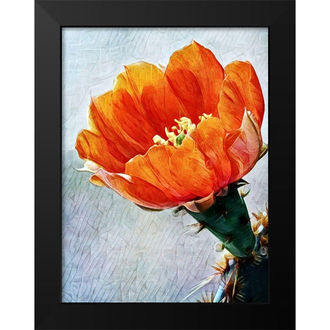 Blood Orange Beauty I Black Modern Wood Framed Art Print by Aldridge, Ashley