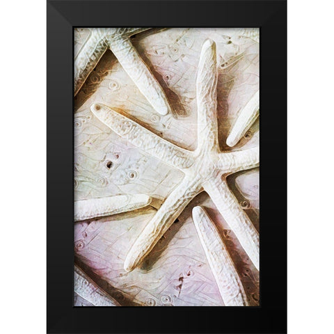 Seashells on Sand  Starfish on Land II Black Modern Wood Framed Art Print by Aldridge, Ashley