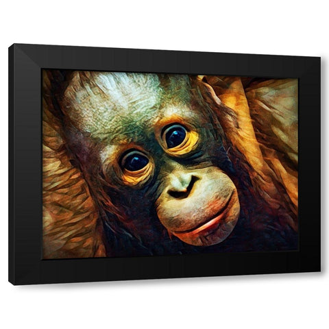 Baby Orangutan Observation Black Modern Wood Framed Art Print with Double Matting by Aldridge, Ashley